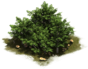 image for Hedge decoration